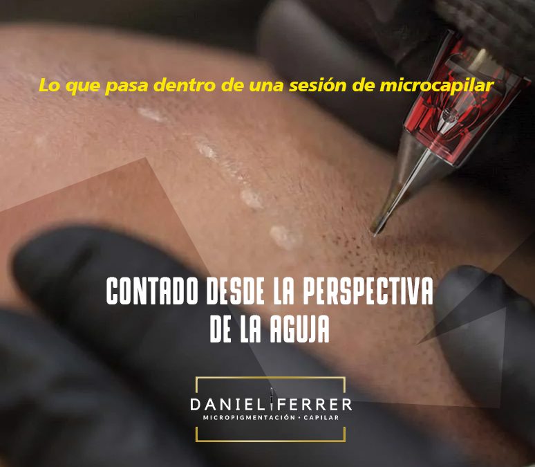 Desde la Perspectiva de la Aguja: La Historia Que Nadie Había Contado